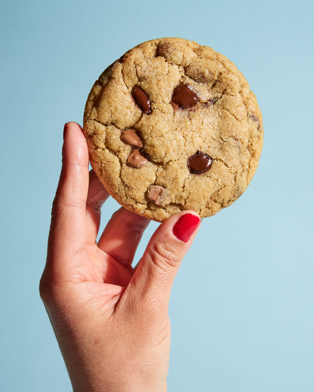 Cookie Mix Variety 6-Pack